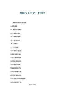 擦鞋行業(yè)歷史分析報告