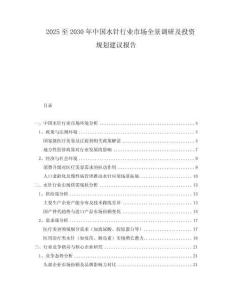 2025至2030年中國水針行業市場全景調研及投資規劃建議報告