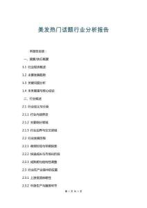 美發熱門話題行業分析報告