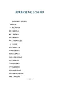 捷成集團(tuán)服務(wù)行業(yè)分析報告