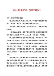 2025年[精]正月十五鬧元宵作文