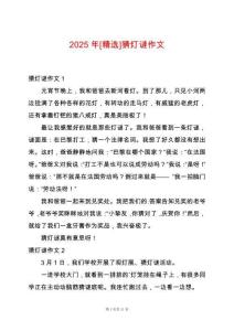 2025年[精選]猜燈謎作文