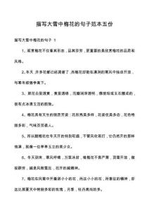 描寫(xiě)大雪中梅花的句子范本五份