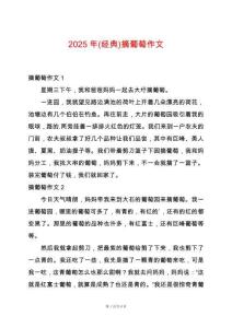 2025年(經(jīng)典)摘葡萄作文