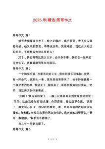 2025年[精選]哥哥作文