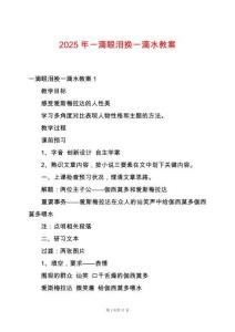 2025年一滴眼淚換一滴水教案