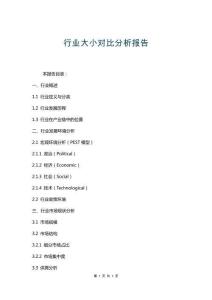 行業(yè)大小對(duì)比分析報(bào)告