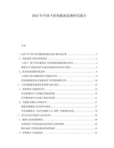 2025年中國下掛鉤數(shù)據(jù)監(jiān)測(cè)研究報(bào)告