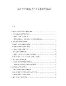 2025年中國GSM天線數(shù)據(jù)監(jiān)測研究報告