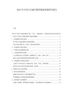 2025年中國玉石磁療腰帶數據監測研究報告