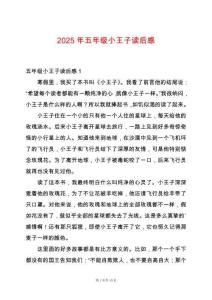 2025年五年級(jí)小王子讀后感