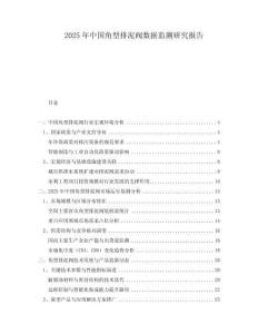 2025年中國角型排泥閥數(shù)據監(jiān)測研究報告