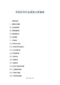 印尼打印行業(yè)現(xiàn)狀分析報告