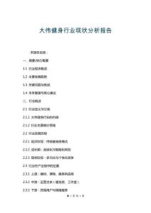 大偉健身行業(yè)現(xiàn)狀分析報(bào)告