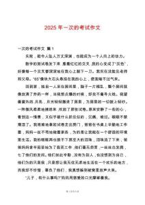 2025年一次的考試作文