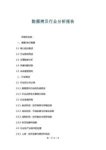 數(shù)據(jù)拷貝行業(yè)分析報告