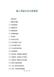 盲人用品行業(yè)分析報告