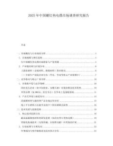 2025年中國螺釘熱電偶市場調查研究報告