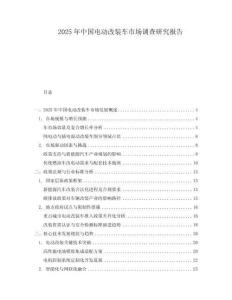 2025年中國電動改裝車市場調查研究報告