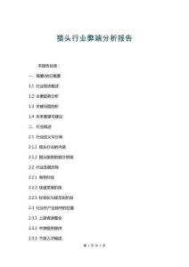 獵頭行業弊端分析報告