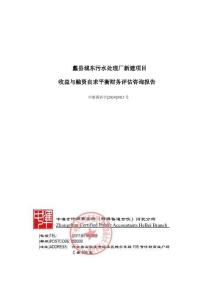 2-蠡縣城東污水處理廠新建項(xiàng)目財(cái)務(wù)咨詢評估報(bào)告