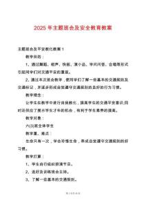 2025年主題班會及安全教育教案