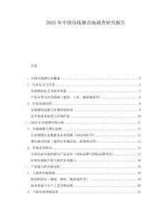 2025年中國(guó)吊線錘市場(chǎng)調(diào)查研究報(bào)告