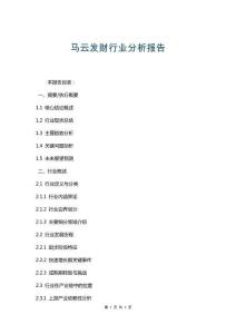 马云发财行业分析报告