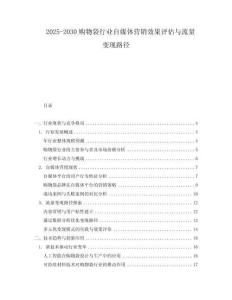 2025-2030購(gòu)物袋行業(yè)自媒體營(yíng)銷效果評(píng)估與流量變現(xiàn)路徑
