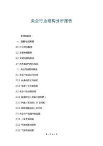 央企行業(yè)結(jié)構(gòu)分析報告