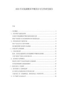 2025年對氨磺酰苯甲酸項目可行性研究報告