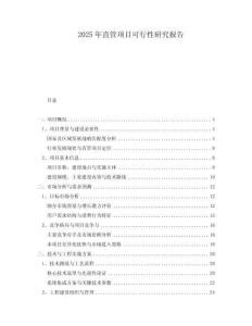 2025年直管項目可行性研究報告