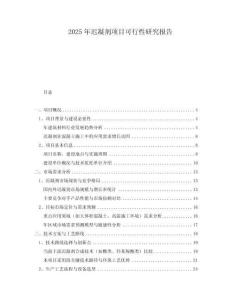 2025年迟凝剂项目可行性研究报告