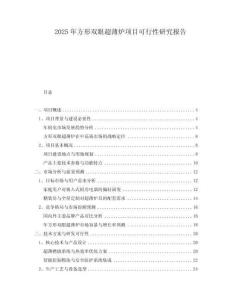 2025年方形雙眼超薄爐項(xiàng)目可行性研究報(bào)告