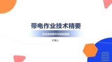 帶電作業(yè)技術(shù)精要