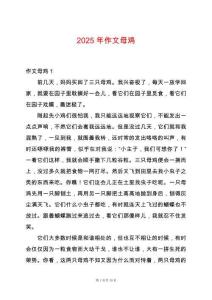 2025年作文母雞