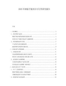 2025年鋼索手鏈項目可行性研究報告