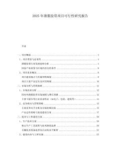 2025年薄膜膠帶項(xiàng)目可行性研究報(bào)告