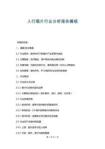 入行唱片行業(yè)分析報(bào)告模板