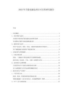 2025年手提電腦包項(xiàng)目可行性研究報(bào)告