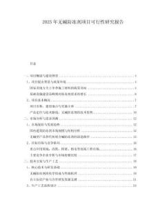 2025年無堿防凍劑項目可行性研究報告