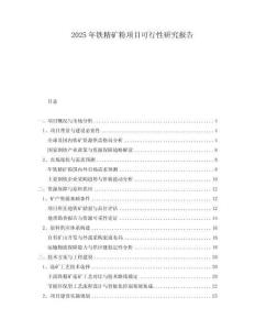2025年鐵精礦粉項目可行性研究報告