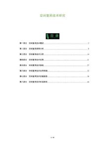 空間復(fù)用技術(shù)研究-洞察及研究