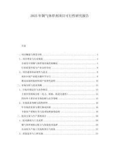 2025年銅氣體焊劑項目可行性研究報告