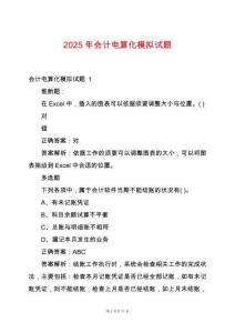 2025年會(huì)計(jì)電算化模擬試題