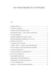 2025年旋風(fēng)掃描電腦燈項(xiàng)目可行性研究報(bào)告