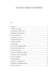 2025年端子卡模項目可行性研究報告