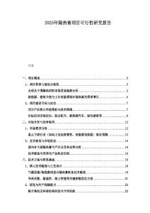 2025年隔熱膏項目可行性研究報告