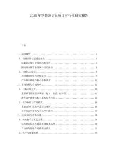 2025年粘數(shù)測定儀項目可行性研究報告