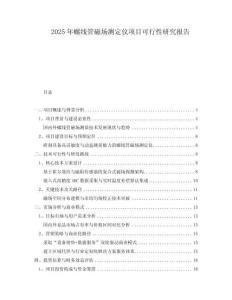 2025年螺線管磁場測定儀項目可行性研究報告